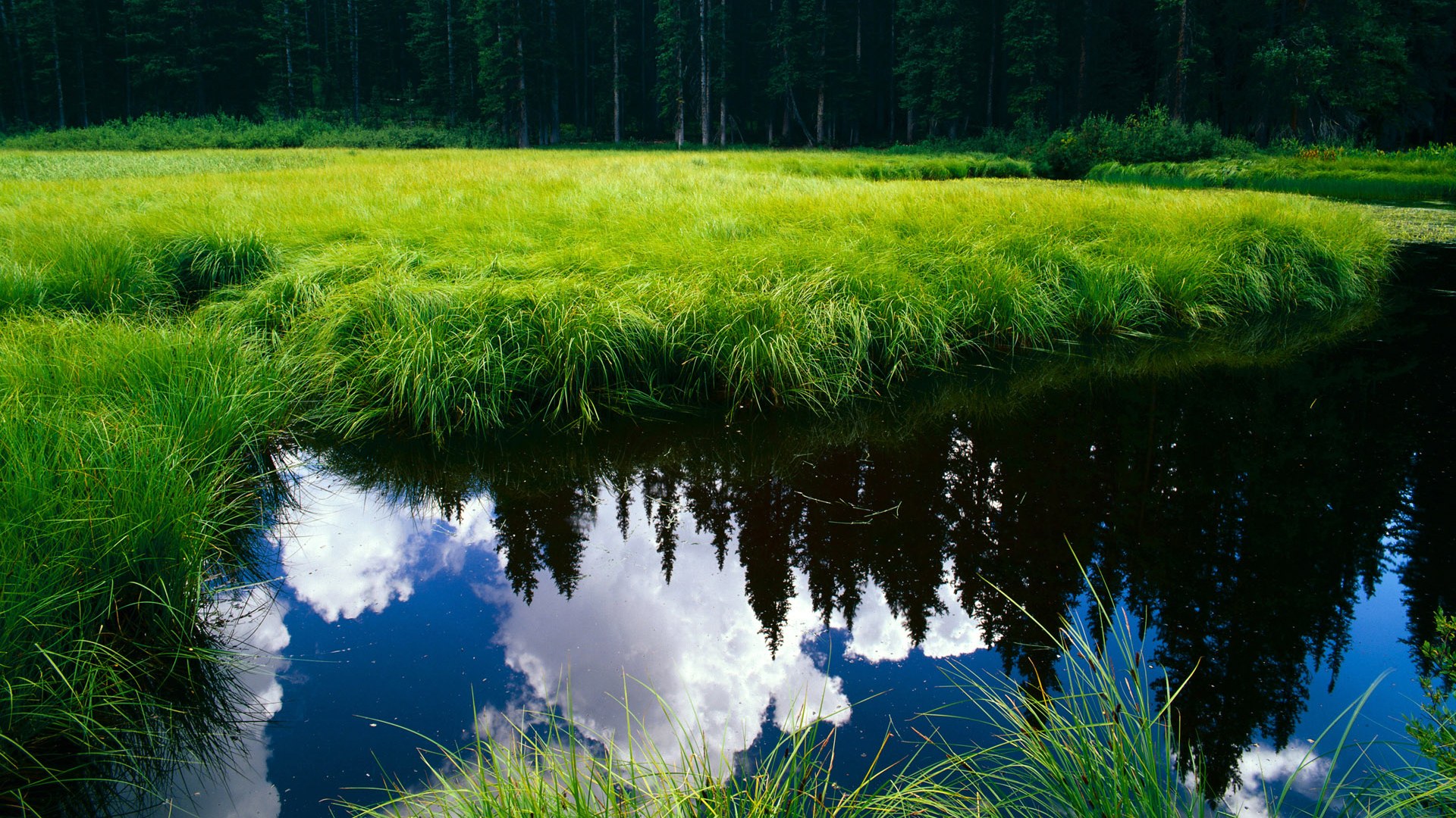 绿巨人的觉醒，阿斯顿·马丁如何以一场手术刀式的胜利解剖哈斯困局，以及塞恩斯那颗不容忽视的野心