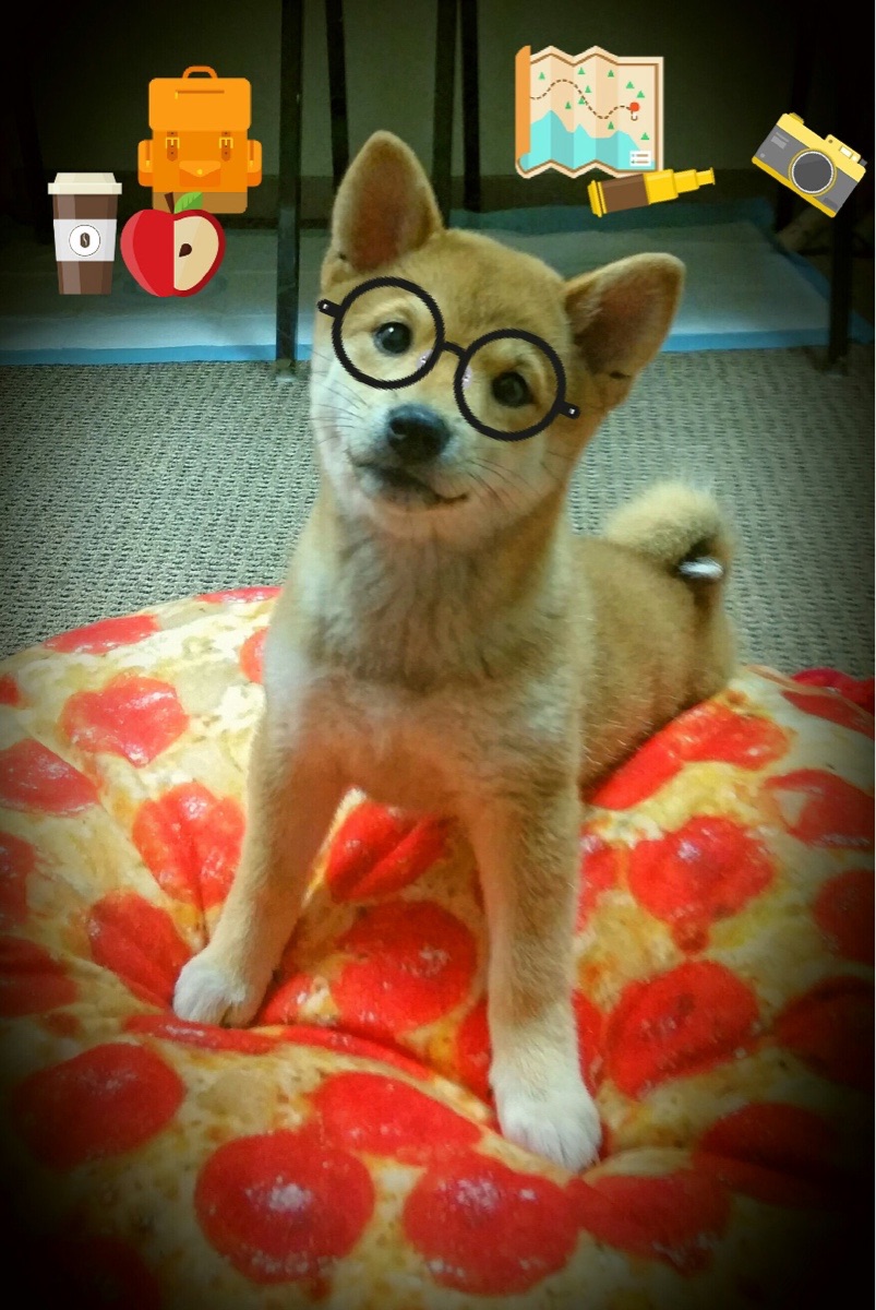 爱游戏下载-抢在数学之前，哈斯如何用一场意外翻盘小红牛