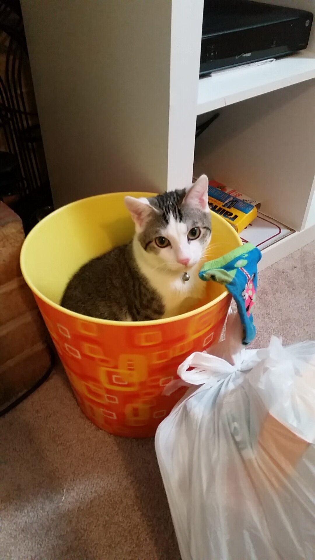 拉沃尔杯的胜利,如何轻取蒙特卡洛大师赛的风头?蒂姆高光表现解析