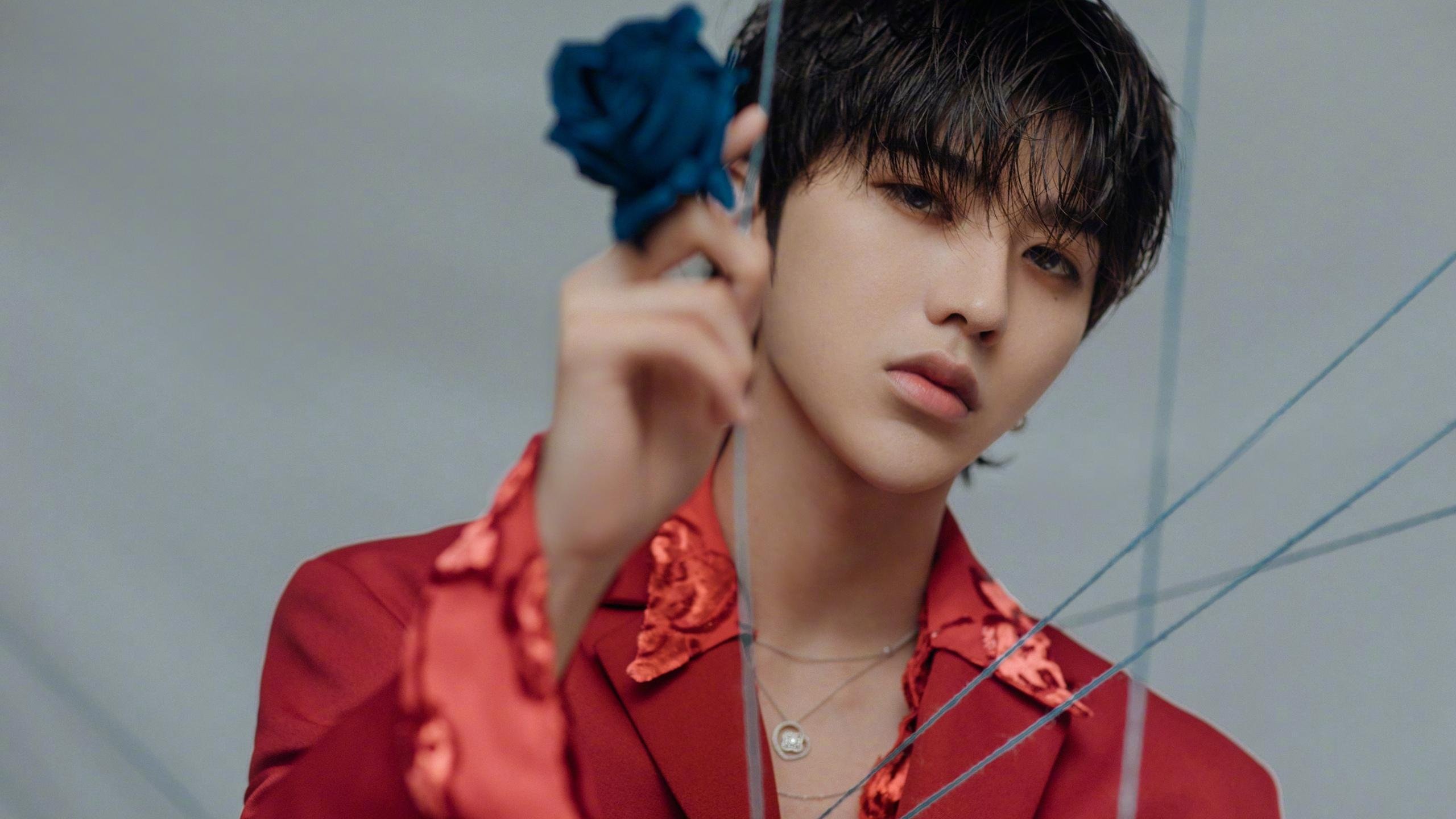 坚盾与狂风，戈贝尔在焦点之夜重塑防守艺术