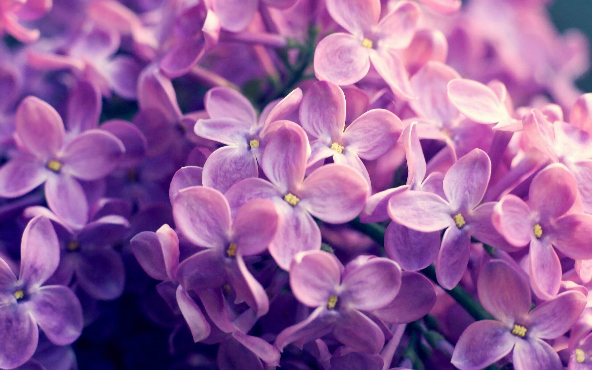 血洗五棵松!北京狂胜广厦创纪录,伦纳德末节惊魂主宰胜负