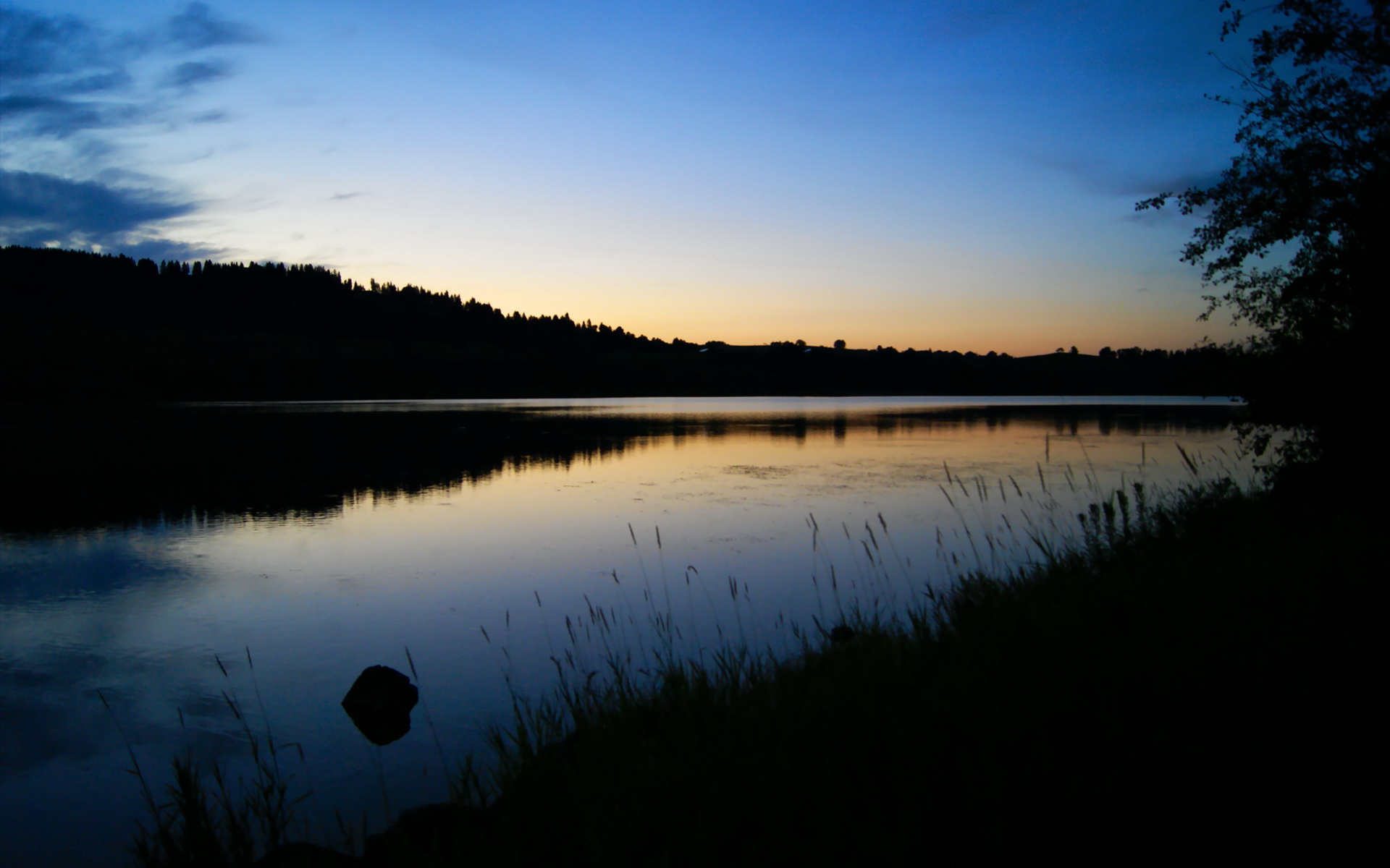 暗夜中,唯一不闪烁的光,戈麦斯与他的稳定输出圣殿