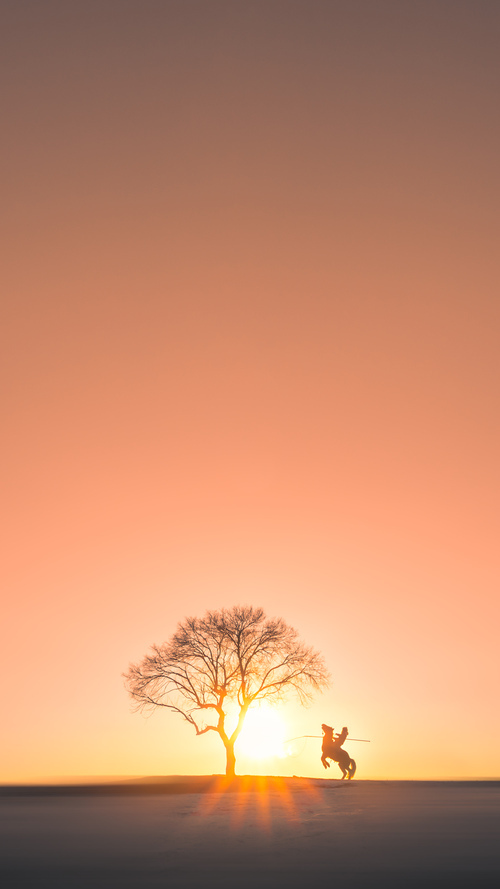爱游戏官方-山不会为一颗星低头，当集体荣耀照亮孤独的王座