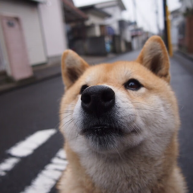 爱游戏娱乐-平行宇宙的篮球狂想，新疆队完胜火箭，乔治成关键先生