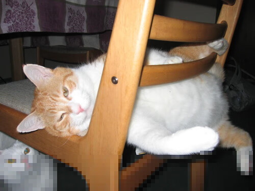 宇宙唯一,武切维奇如何让欧冠半决赛之夜成为自己的恒星诞生瞬间