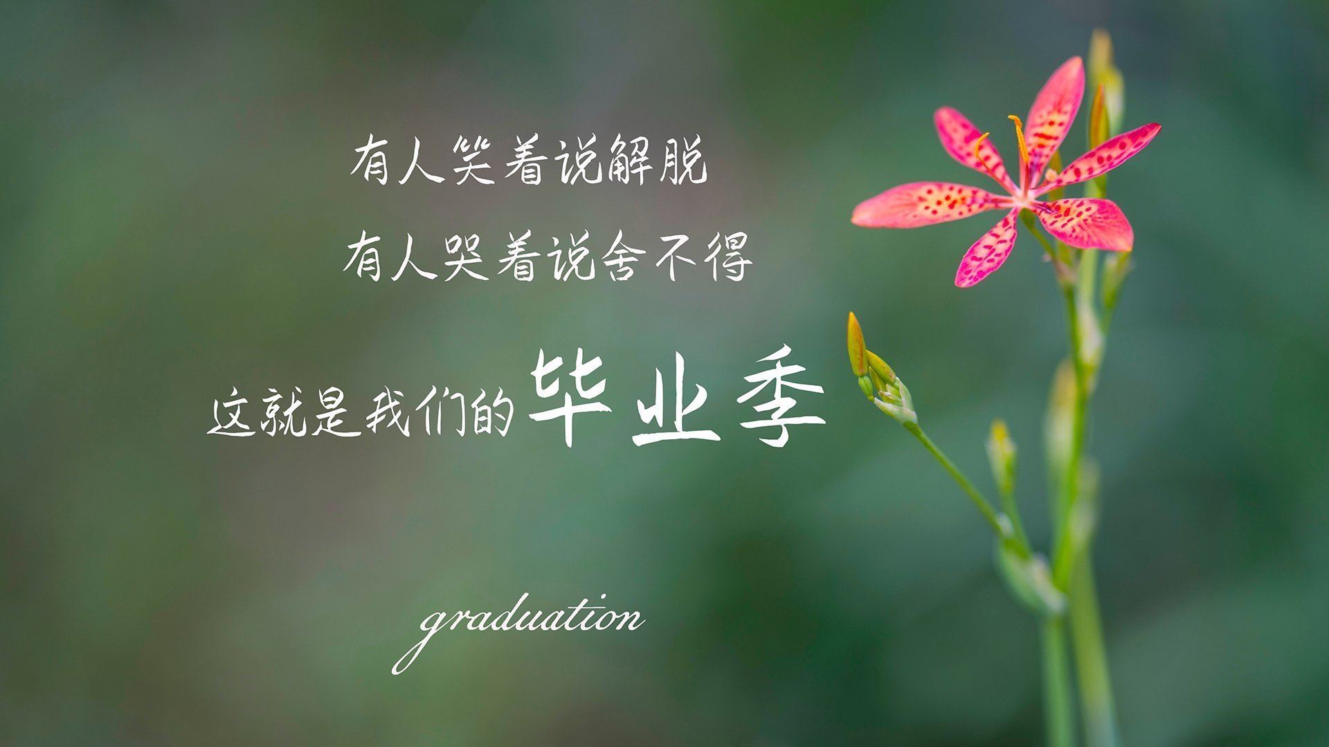 极夜、极光与极速，贝林厄姆的美加墨世界杯之夜