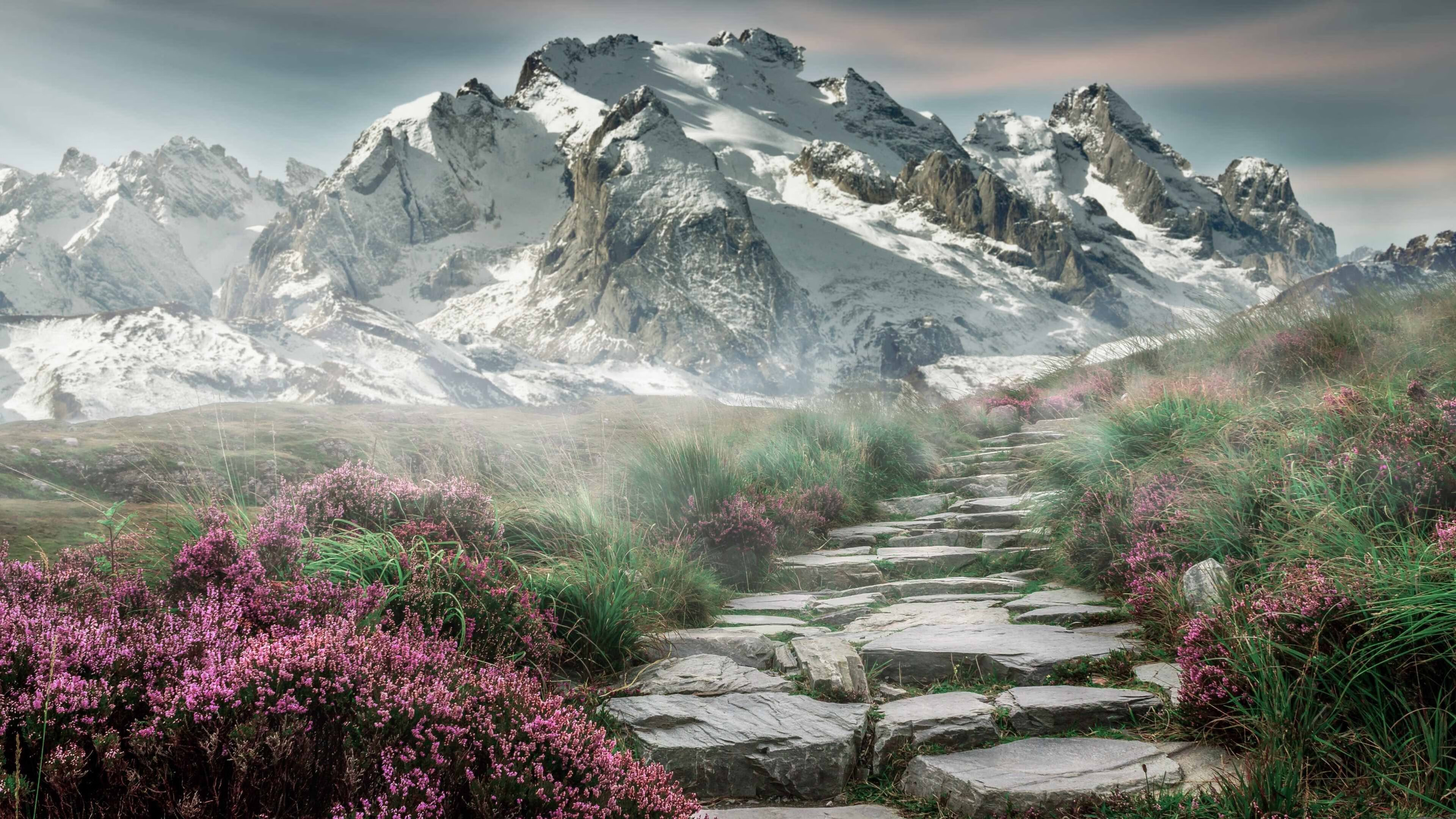 小人物的大心脏，范弗利特与骑士逆袭背后的历史回响