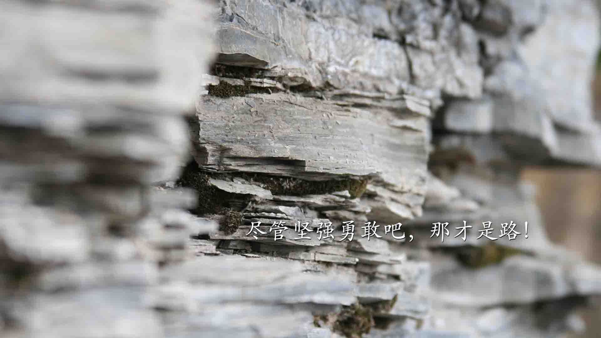 摩洛哥战巴西，范戴克撑起防线壁垒—2026世界杯强强对话中的唯一性时刻