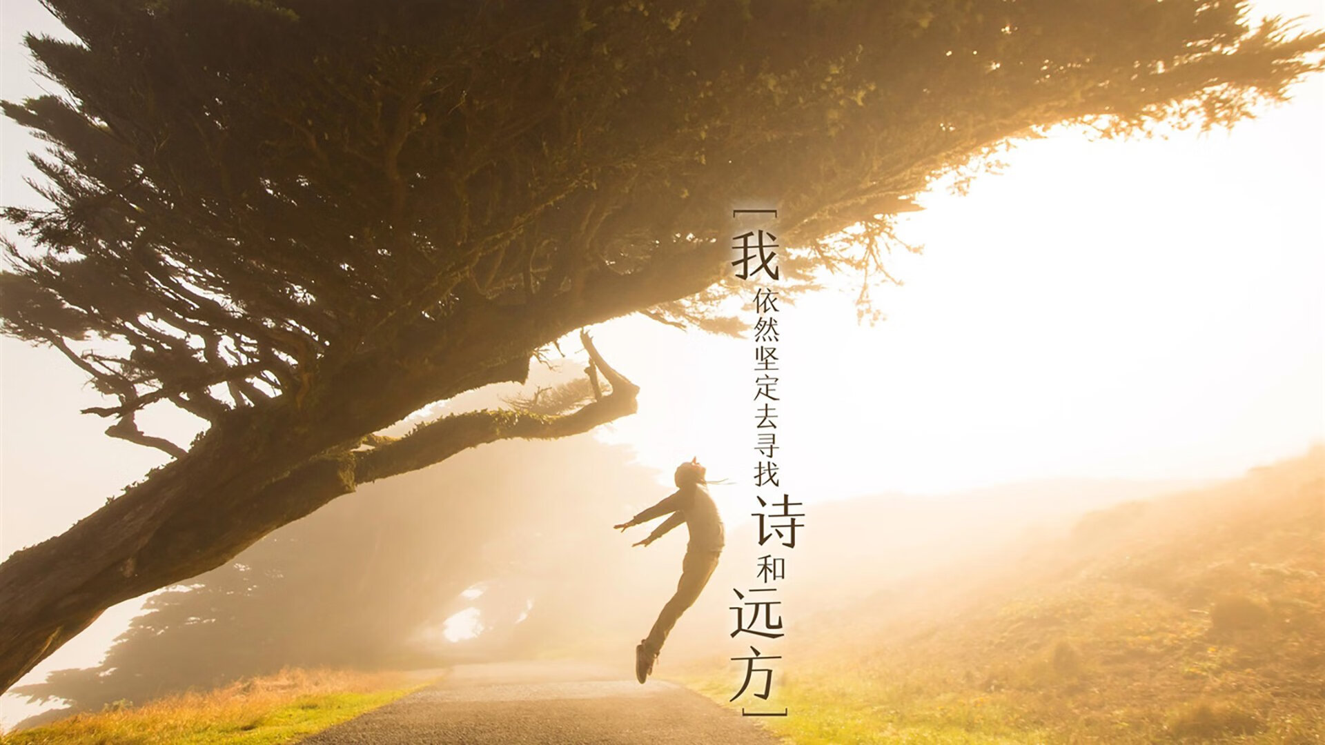 爱游戏-波斯铁骑的绝唱，佩德里导演B组生死战，伊朗逆转喀麦隆创世界杯神话